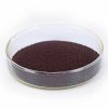canthaxanthin 10% food/feed grade